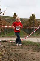 24.10. Wingertcrosslauf - Finale Juniorlauf Cup