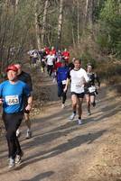 IMG_3971.JPG