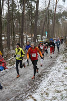 09.02. Faschingswaldlauf Teil 2