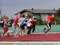 P1010037.jpg
