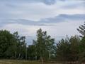 100_8813.JPG
