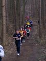 4. Faschingswaldlauf