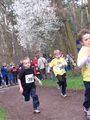 BezirkWald100_2782.jpg