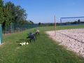 Beachvolleyball100_5880.jpg