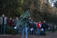 WeihnachtsbaumWeltmIMG_1706.jpg