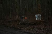 IMG_4525.jpg