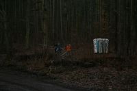 IMG_4526.jpg