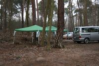 IMG_4529.jpg