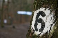 IMG_4531.jpg