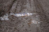 IMG_4541.jpg