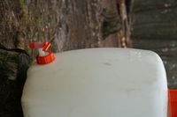 IMG_4545.jpg