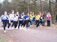 BezirkWald_100_7180.jpg
