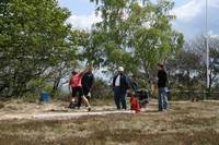 01.05.  81.Bergturnfest Deidesheim