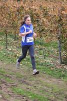 24.10. Wingertcrosslauf - 7km und 3,5km Läuf