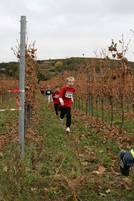 24.10. Wingertcrosslauf - Finale Juniorlauf C