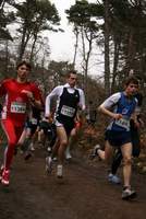 6. Faschingswaldlauf 21.02.