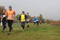 Crosslauf 012.jpg