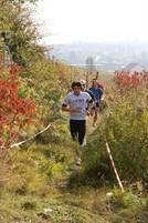 23.10. Wingertcrosslauf