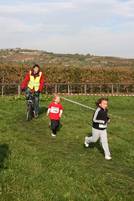 23.10. Wingertcrosslauf