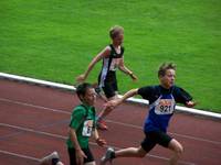 100_9010.jpg
