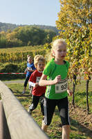 22.10. 5.Wingert-Crosslauf