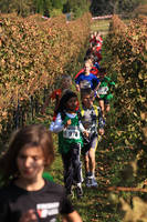 22.10. 5.Wingert-Crosslauf (Bilder Teil 2)