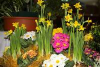 IMG_0641.JPG