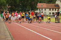 IMG_1534.jpg