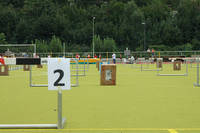 124540IMG_2806.jpg