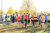 IMG_4290.jpg