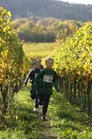 28.10. Wingertcrosslauf Bad Dürkheim
