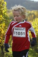 28.10. Wingertcrosslauf Bad Dürkheim