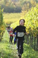 28.10. Wingertcrosslauf Bad Dürkheim