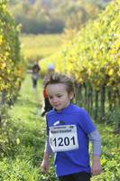 28.10. Wingertcrosslauf Bad Dürkheim