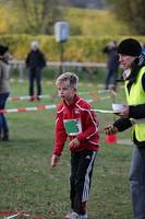 28.10. Wingertcrosslauf Bad Dürkheim (weiter
