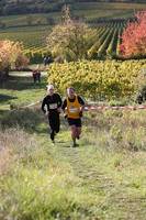 28.10. Wingertcrosslauf Bad Dürkheim (weiter