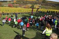 28.10. Wingertcrosslauf Bad Dürkheim (weiter