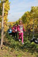 28.10. Wingertcrosslauf Bad Dürkheim (weiter
