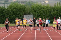 29.04. Leichtathletikmeeting der LG Weinstra�