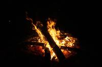 IMG_5480.jpg