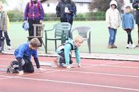 IMG_8521.jpg