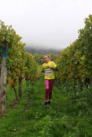 20.10. -  7. Wingertcrosslauf