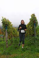 20.10. -  7. Wingertcrosslauf