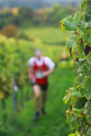 20.10. -  7. Wingertcrosslauf