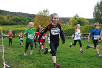 20.10. -  7. Wingertcrosslauf