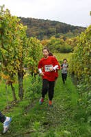 20.10. -  7. Wingertcrosslauf
