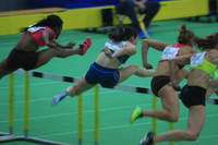IMG_9338.jpg