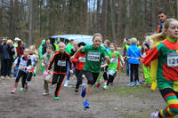 01.03. 10.Faschingswaldlauf Teil 1