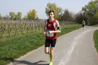 30.3. Marathon Deutsche Weinstraße
