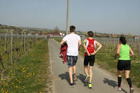 30.3. Marathon Deutsche Weinstraße